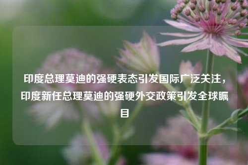 印度总理莫迪的强硬表态引发国际广泛关注，印度新任总理莫迪的强硬外交政策引发全球瞩目