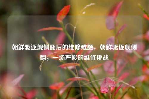 朝鲜驱逐舰侧翻后的维修难题，朝鲜驱逐舰侧翻，一场严峻的维修挑战