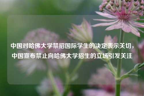 中国对哈佛大学禁招国际学生的决定表示关切，中国宣布禁止向哈佛大学招生的立场引发关注