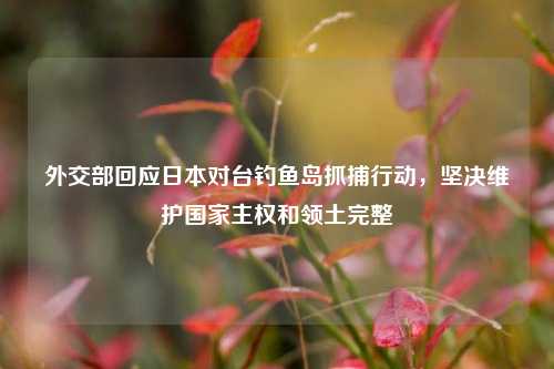 外交部回应日本对台钓鱼岛抓捕行动，坚决维护国家主权和领土完整