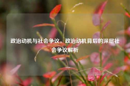 政治动机与社会争议，政治动机背后的深层社会争议解析