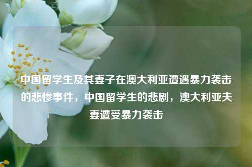 中国留学生及其妻子在澳大利亚遭遇暴力袭击的悲惨事件，中国留学生的悲剧，澳大利亚夫妻遭受暴力袭击