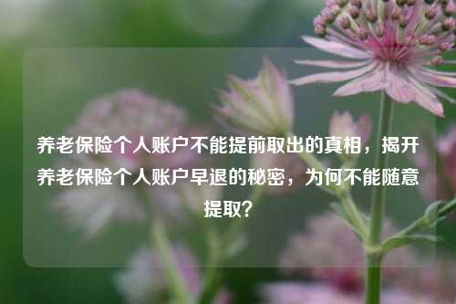 养老保险个人账户不能提前取出的真相，揭开养老保险个人账户早退的秘密，为何不能随意提取？