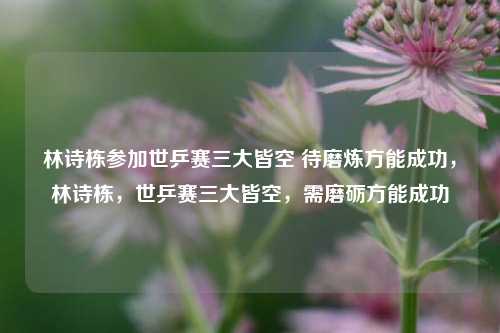 林诗栋参加世乒赛三大皆空 待磨炼方能成功，林诗栋，世乒赛三大皆空，需磨砺方能成功