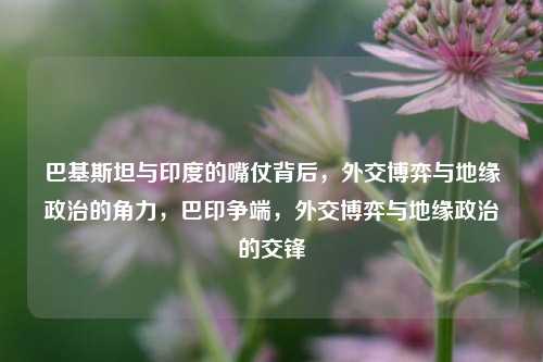 巴基斯坦与印度的嘴仗背后，外交博弈与地缘政治的角力，巴印争端，外交博弈与地缘政治的交锋