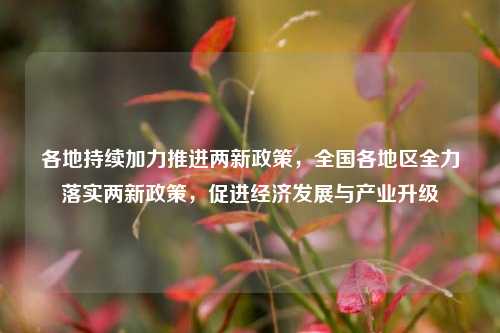 各地持续加力推进两新政策，全国各地区全力落实两新政策，促进经济发展与产业升级