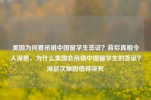 美国为何要吊销中国留学生签证？背后真相令人深思，为什么美国会吊销中国留学生的签证？深层次原因值得深究