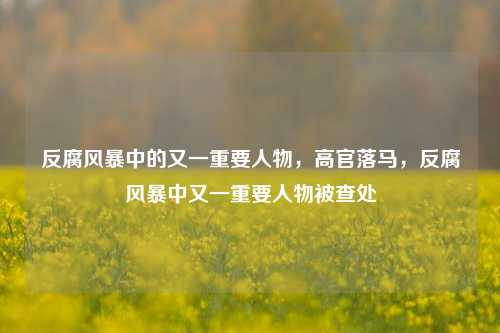 反腐风暴中的又一重要人物，高官落马，反腐风暴中又一重要人物被查处