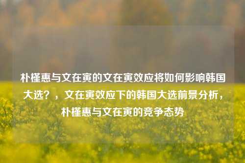 朴槿惠与文在寅的文在寅效应将如何影响韩国大选？，文在寅效应下的韩国大选前景分析，朴槿惠与文在寅的竞争态势