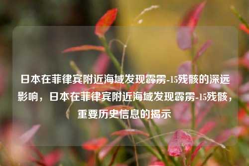 日本在菲律宾附近海域发现霹雳-15残骸的深远影响，日本在菲律宾附近海域发现霹雳-15残骸，重要历史信息的揭示