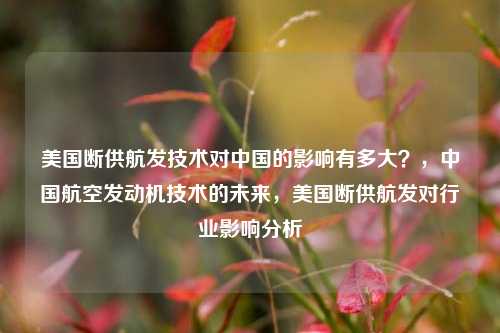 美国断供航发技术对中国的影响有多大？，中国航空发动机技术的未来，美国断供航发对行业影响分析