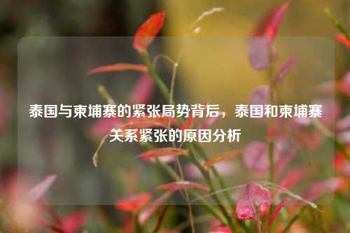 泰国与柬埔寨的紧张局势背后，泰国和柬埔寨关系紧张的原因分析