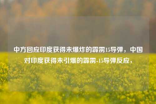 中方回应印度获得未爆炸的霹雳15导弹，中国对印度获得未引爆的霹雳-15导弹反应，