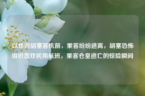 以炸毁胡塞客机前，乘客纷纷逃离，胡塞恐怖组织轰炸民用航班，乘客仓皇逃亡的惊险瞬间