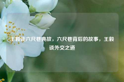 王毅谈六尺巷典故，六尺巷背后的故事，王毅谈外交之道