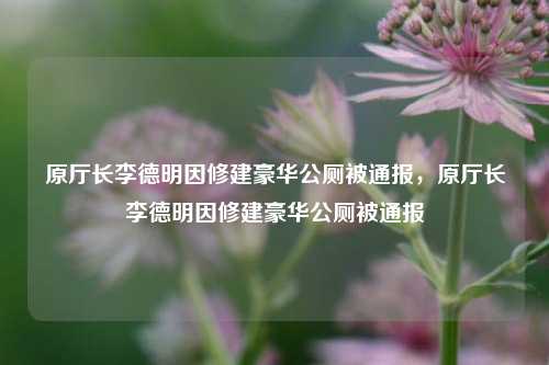 原厅长李德明因修建豪华公厕被通报，原厅长李德明因修建豪华公厕被通报