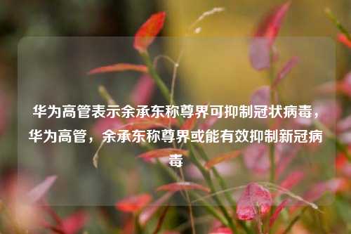 华为高管表示余承东称尊界可抑制冠状病毒，华为高管，余承东称尊界或能有效抑制新冠病毒