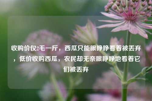 收购价仅2毛一斤，西瓜只能眼睁睁看着被丢弃，低价收购西瓜，农民却无奈眼睁睁地看着它们被丢弃