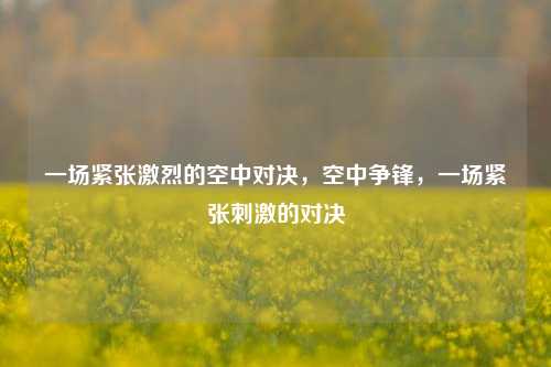 一场紧张激烈的空中对决，空中争锋，一场紧张刺激的对决