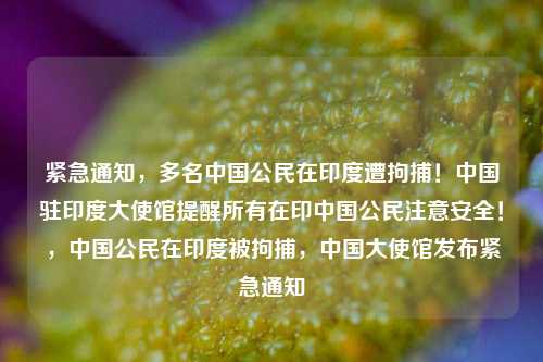 紧急通知，多名中国公民在印度遭拘捕！中国驻印度大使馆提醒所有在印中国公民注意安全！，中国公民在印度被拘捕，中国大使馆发布紧急通知