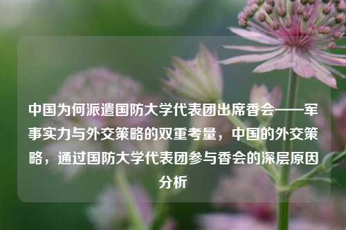 中国为何派遣国防大学代表团出席香会——军事实力与外交策略的双重考量，中国的外交策略，通过国防大学代表团参与香会的深层原因分析