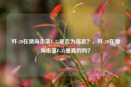 歼-20在渤海击落F-35是否为谣言？，歼-20在渤海击落F-35是真的吗？