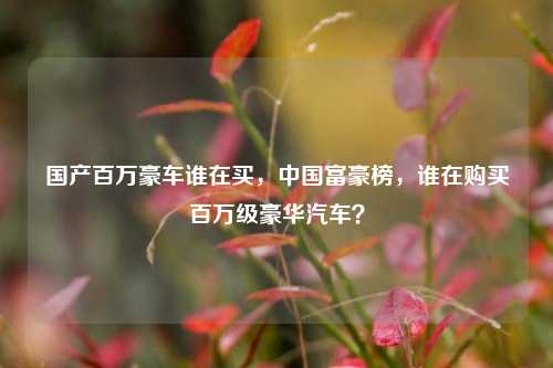国产百万豪车谁在买，中国富豪榜，谁在购买百万级豪华汽车？