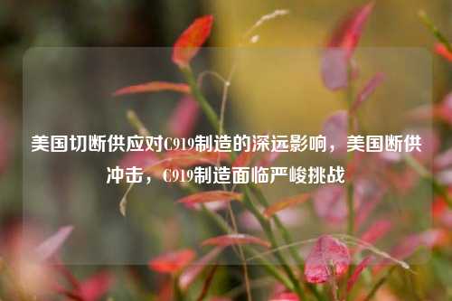美国切断供应对C919制造的深远影响，美国断供冲击，C919制造面临严峻挑战