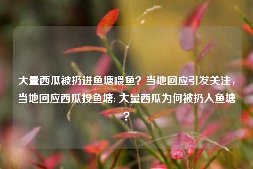 大量西瓜被扔进鱼塘喂鱼？当地回应引发关注，当地回应西瓜投鱼塘: 大量西瓜为何被扔入鱼塘？