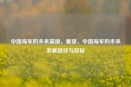 中国海军的未来蓝图，展望，中国海军的未来发展路径与目标
