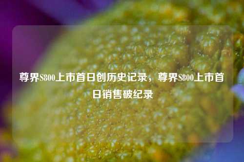 尊界S800上市首日创历史记录，尊界S800上市首日销售破纪录