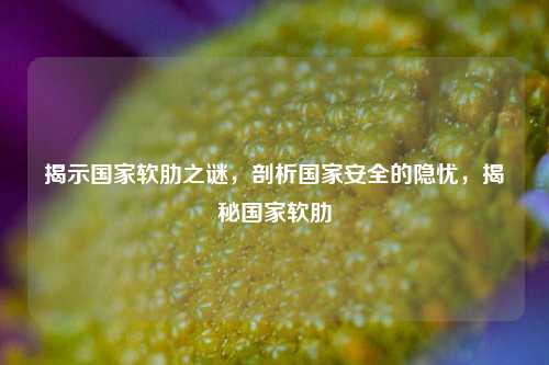 揭示国家软肋之谜，剖析国家安全的隐忧，揭秘国家软肋