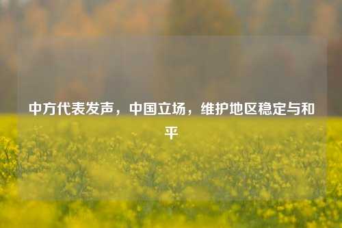 中方代表发声，中国立场，维护地区稳定与和平