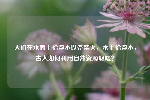 人们在水面上拾浮木以备柴火，水上拾浮木，古人如何利用自然资源取暖？