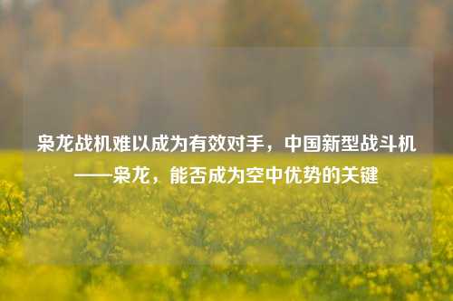枭龙战机难以成为有效对手，中国新型战斗机——枭龙，能否成为空中优势的关键