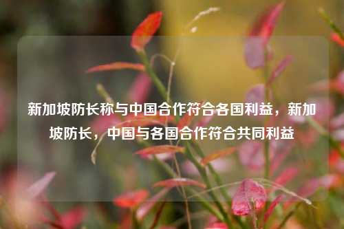 新加坡防长称与中国合作符合各国利益，新加坡防长，中国与各国合作符合共同利益