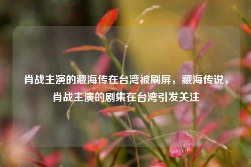 肖战主演的藏海传在台湾被刷屏，藏海传说，肖战主演的剧集在台湾引发关注
