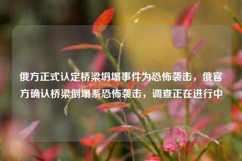 俄方正式认定桥梁坍塌事件为恐怖袭击，俄官方确认桥梁倒塌系恐怖袭击，调查正在进行中