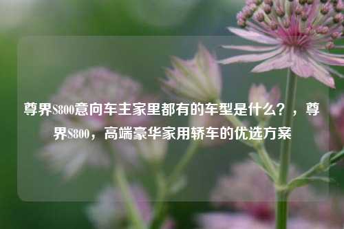 尊界S800意向车主家里都有的车型是什么？，尊界S800，高端豪华家用轿车的优选方案