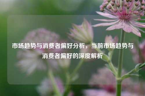 市场趋势与消费者偏好分析，当前市场趋势与消费者偏好的深度解析