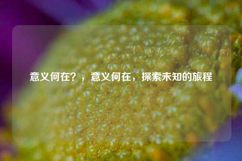 意义何在？，意义何在，探索未知的旅程