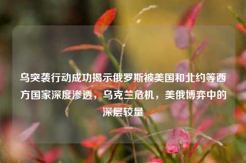 乌突袭行动成功揭示俄罗斯被美国和北约等西方国家深度渗透，乌克兰危机，美俄博弈中的深层较量