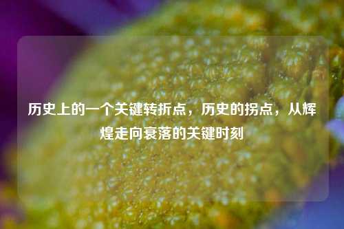 历史上的一个关键转折点，历史的拐点，从辉煌走向衰落的关键时刻