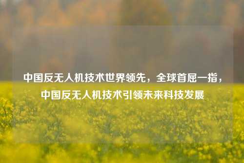 中国反无人机技术世界领先，全球首屈一指，中国反无人机技术引领未来科技发展