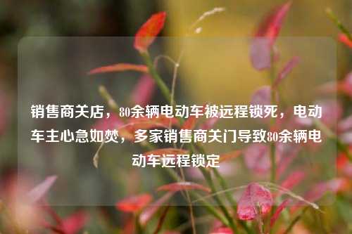 销售商关店，80余辆电动车被远程锁死，电动车主心急如焚，多家销售商关门导致80余辆电动车远程锁定