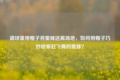 请球童用帽子将蜜蜂送离场地，如何用帽子巧妙地驱赶飞舞的蜜蜂？