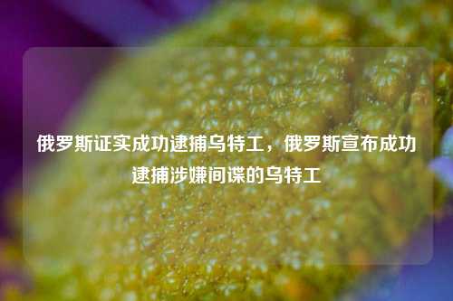 俄罗斯证实成功逮捕乌特工，俄罗斯宣布成功逮捕涉嫌间谍的乌特工