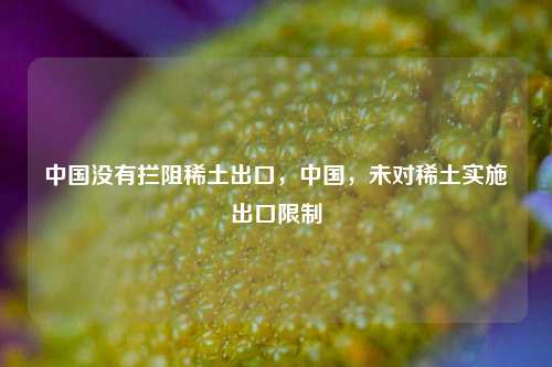 中国没有拦阻稀土出口，中国，未对稀土实施出口限制