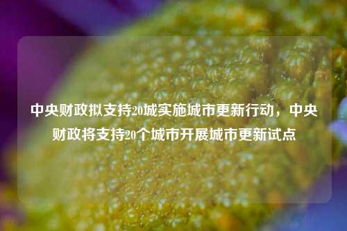 中央财政拟支持20城实施城市更新行动，中央财政将支持20个城市开展城市更新试点
