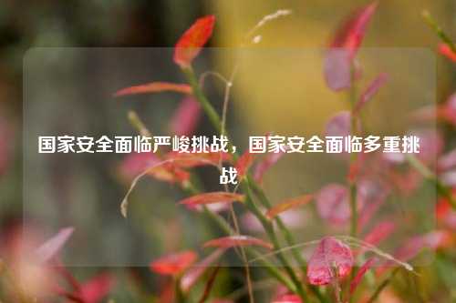 国家安全面临严峻挑战，国家安全面临多重挑战